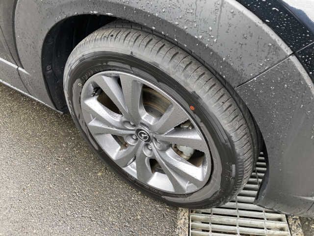 Mazda CX-30 2021-03 1374-5