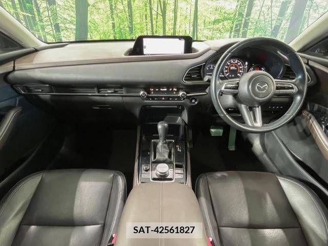 Mazda CX-30 2019-12 358502-1