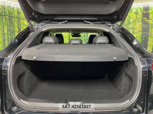 Mazda CX-30 2019-12 358502-10