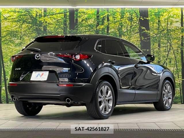 Mazda CX-30 2019-12 358502-17
