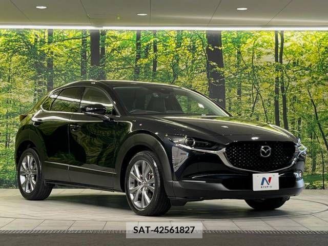Mazda CX-30 2019-12 358502-16