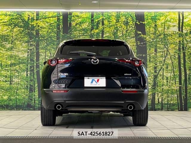 Mazda CX-30 2019-12 358502-15