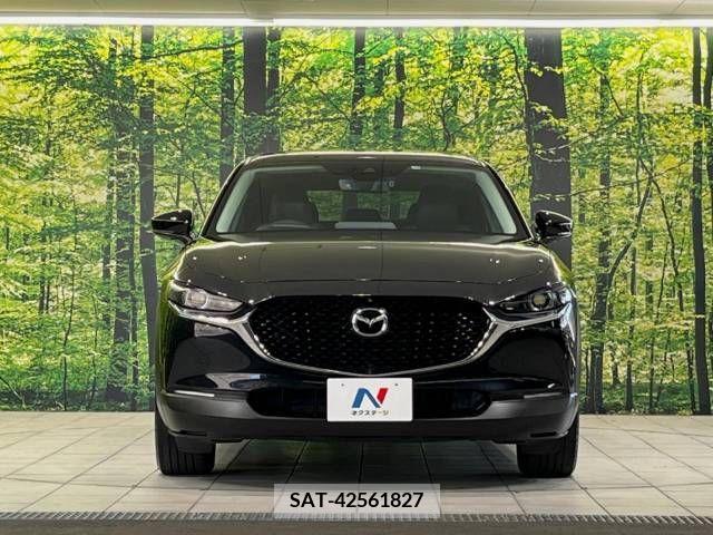 Mazda CX-30 2019-12 358502-14