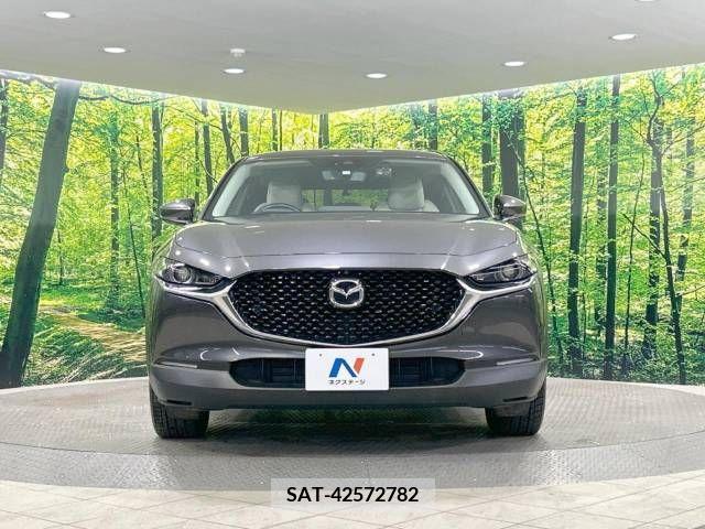 Mazda CX-30 2020-02 390186-14