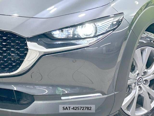 Mazda CX-30 2020-02 390186-13