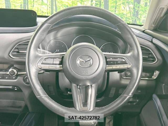 Mazda CX-30 2020-02 390186-11