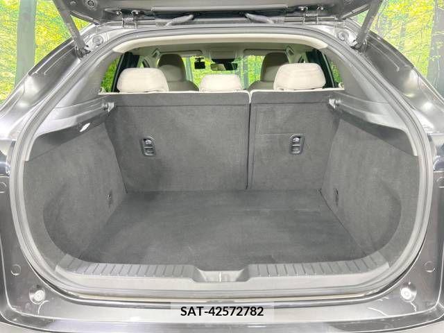 Mazda CX-30 2020-02 390186-10