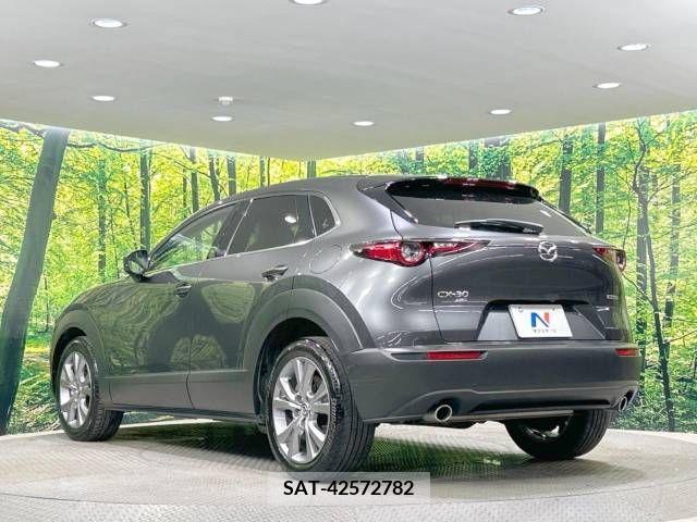 Mazda CX-30 2020-02 390186-17