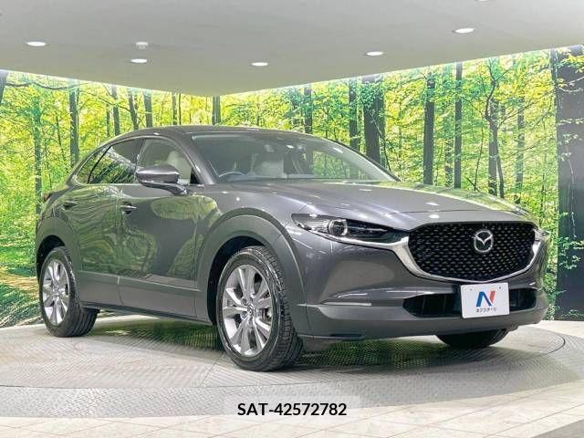 Mazda CX-30 2020-02 390186-16