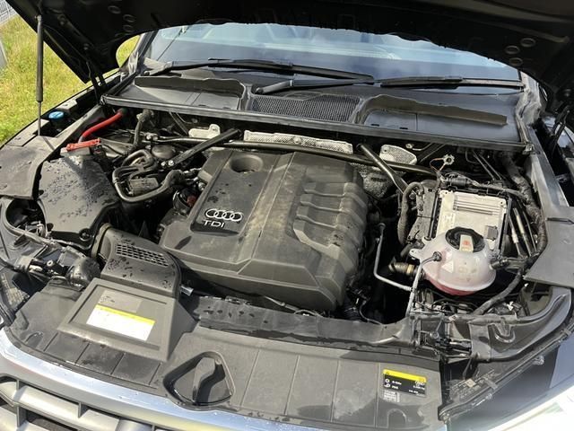 Audi Q5 2019-03 195671-19