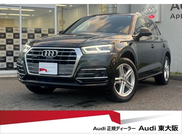 Audi Q5 2019-03 195671-0
