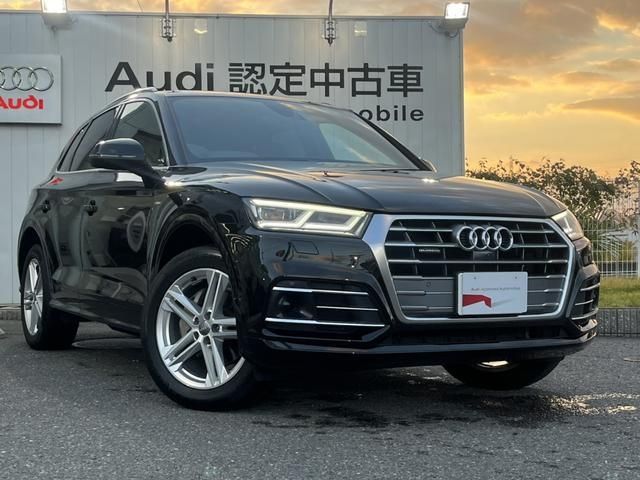 Audi Q5 2019-03 195671-4