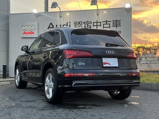 Audi Q5 2019-03 195671-5