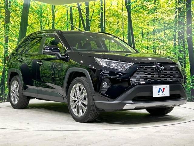 Toyota RAV4 2020-09 20681-16