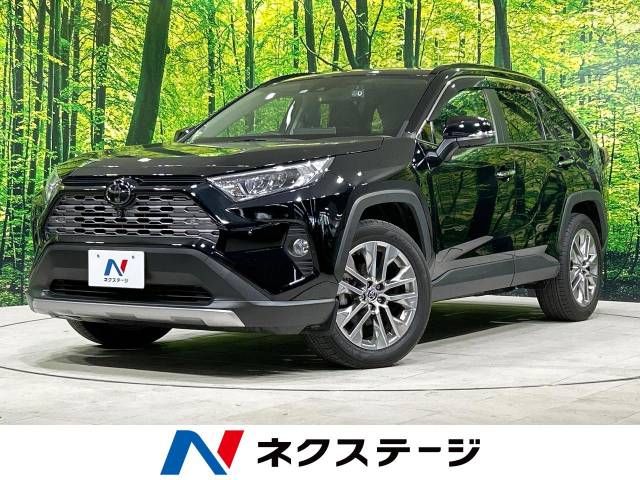 Toyota RAV4 2020-09 20681-0