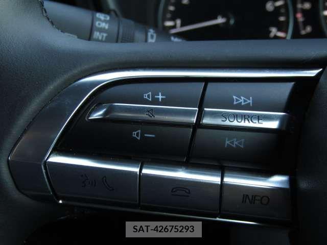 Mazda MAZDA3 2020-06 221765-15