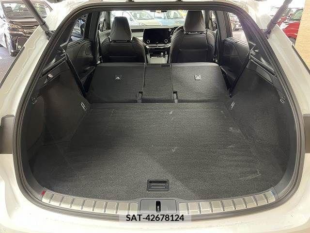 Lexus RX 2023-08 211846-19