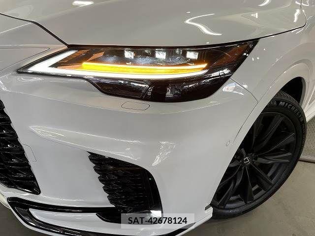 Lexus RX 2023-08 211846-9