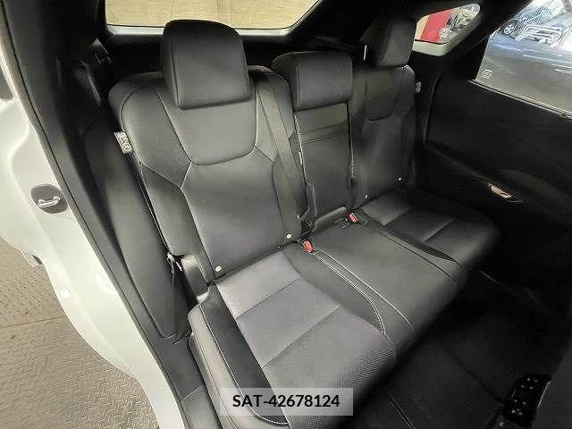 Lexus RX 2023-08 211846-8