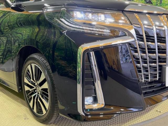 Toyota ALPHARD 2022-01 194253-13