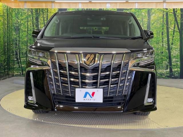 Toyota ALPHARD 2022-01 194253-15