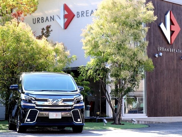 Toyota VELLFIRE 2016-05 196087-5