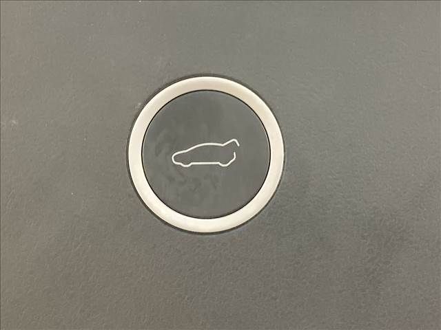 Tesla MODEL X 2017-12 11576-8