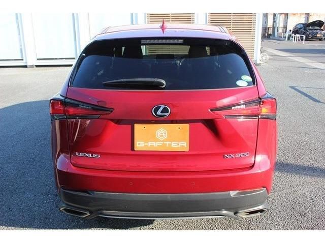 Lexus NX 2018-03 7764-9