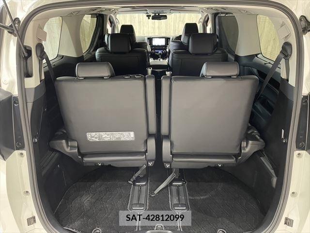 Toyota VELLFIRE 2017-03 223031-25