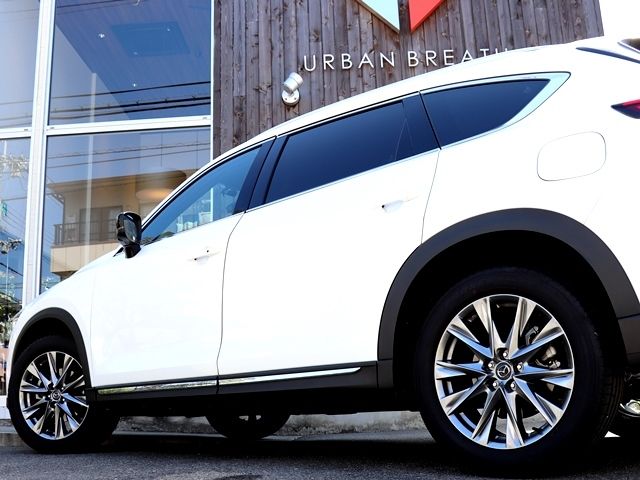 Mazda CX-8 2022-03 769-7