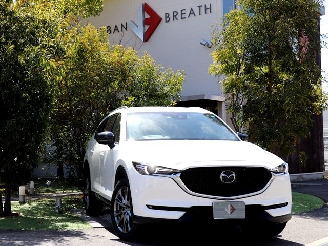 Mazda CX-8 2022-03 769-0