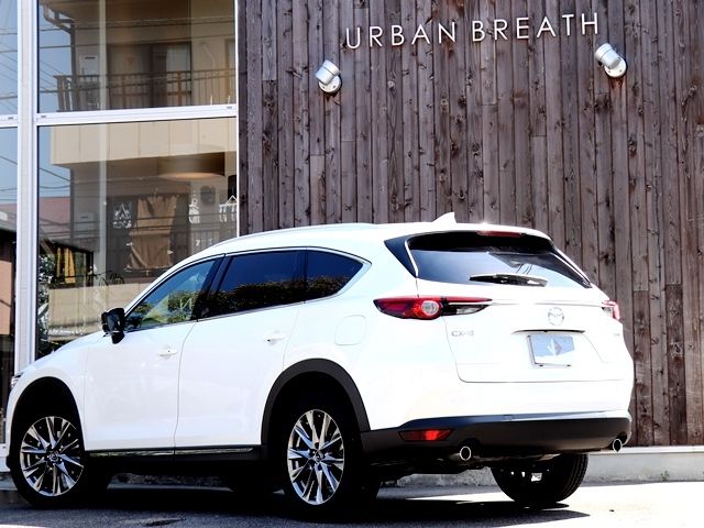 Mazda CX-8 2022-03 769-10