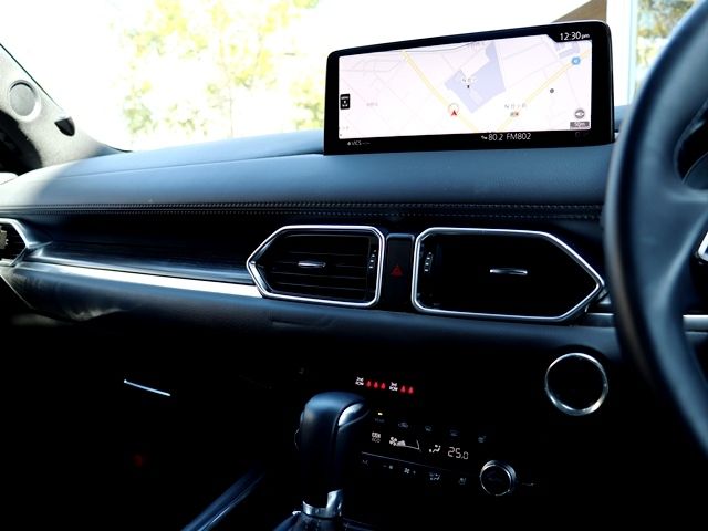Mazda CX-8 2022-03 769-16