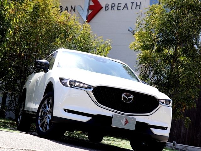 Mazda CX-8 2022-03 769-3