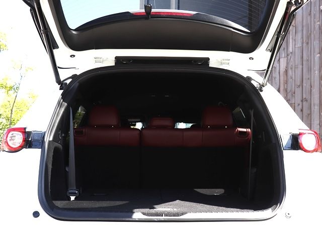 Mazda CX-8 2022-03 769-29