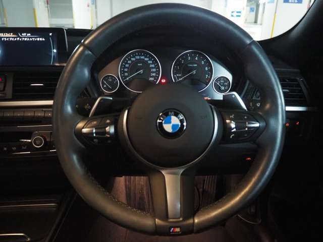 Bmw 3 SERIES 2016-03 7329-13
