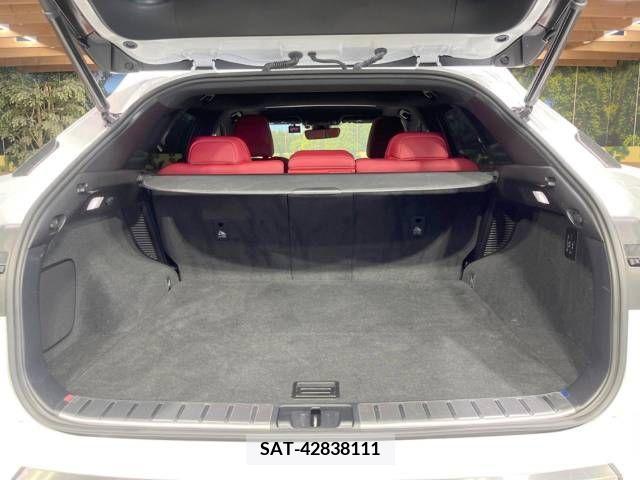 Lexus RX 2019-09 304844-14
