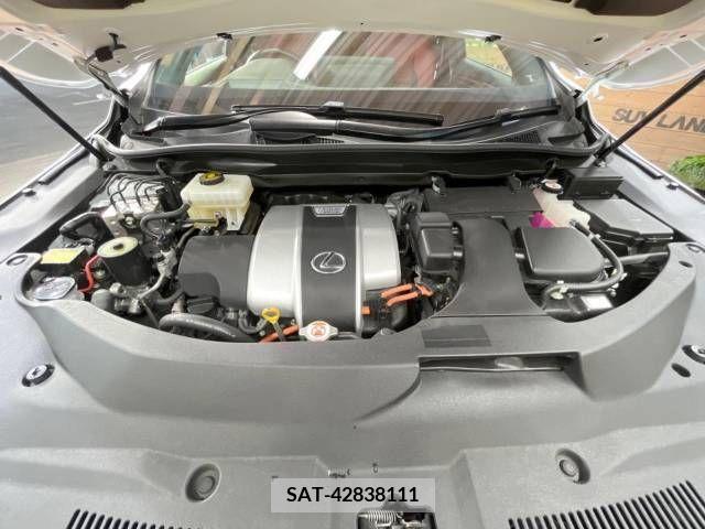 Lexus RX 2019-09 304844-13