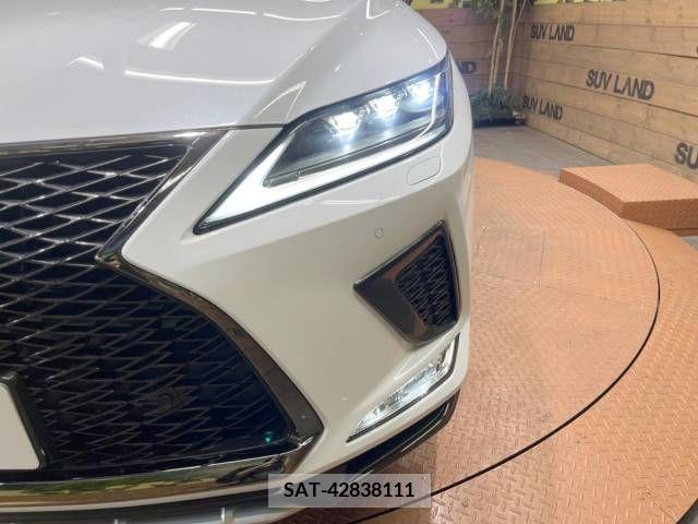 Lexus RX 2019-09 304844-11