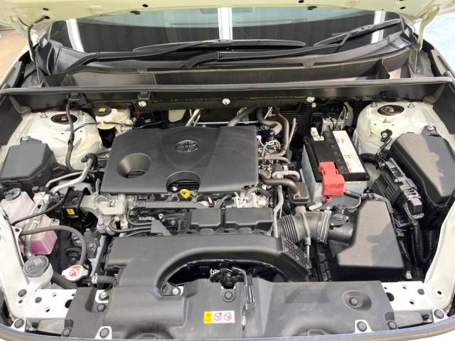 Toyota RAV4 2019-11 9570-18