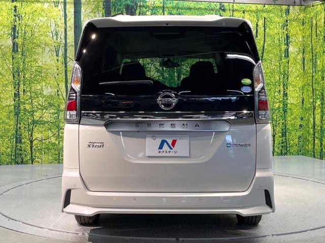 Nissan SERENA 2019-01 4417-15