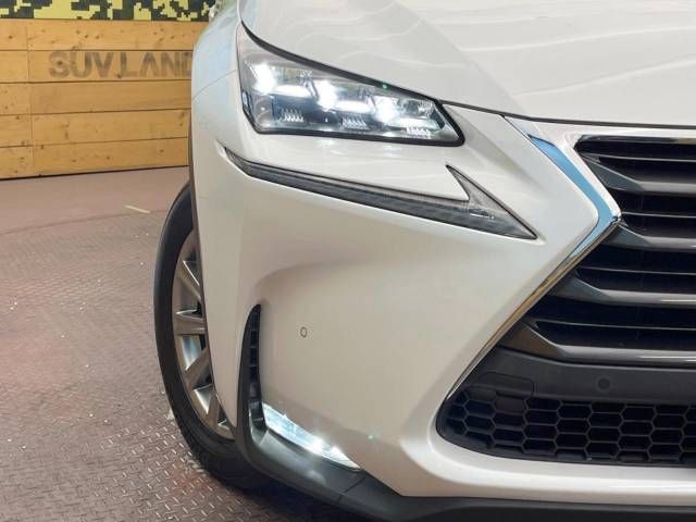 Lexus NX 2016-06 184768-12