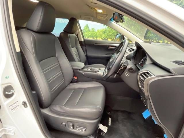 Lexus NX 2016-06 184768-8