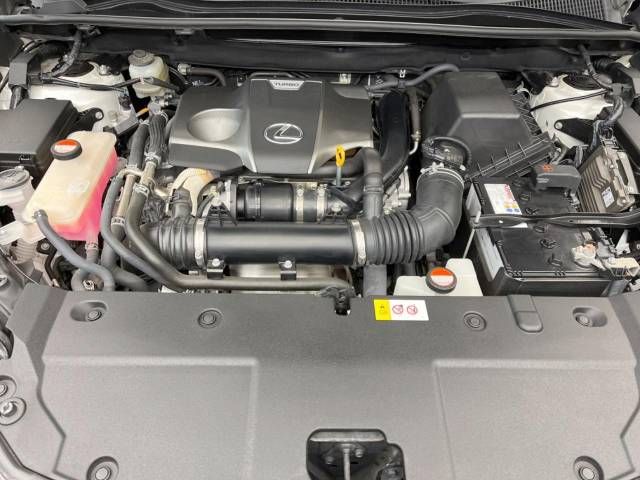 Lexus NX 2016-06 184768-18