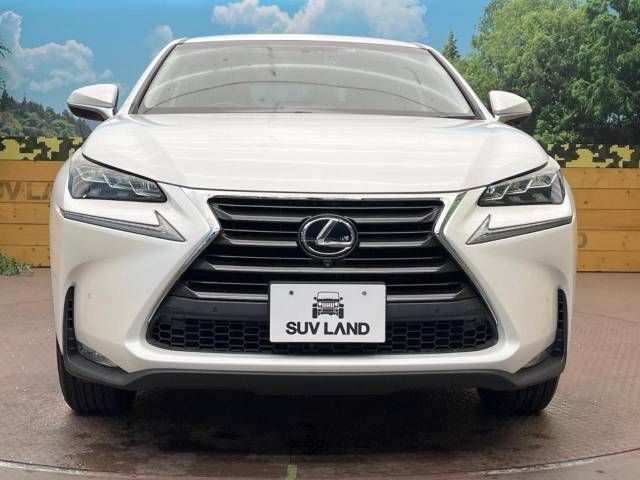 Lexus NX 2016-06 184768-14