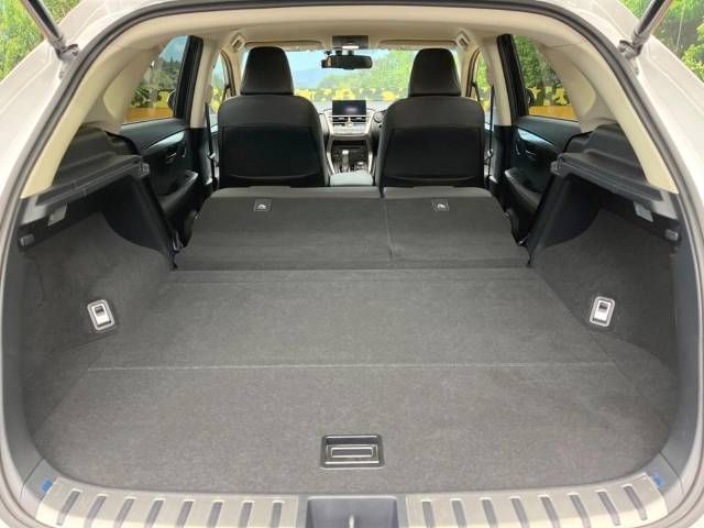 Lexus NX 2016-06 184768-10