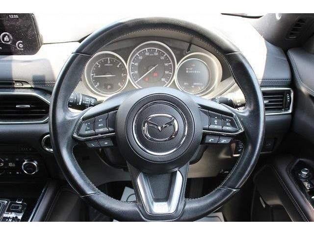 Mazda CX-8 2018-06 7731-16