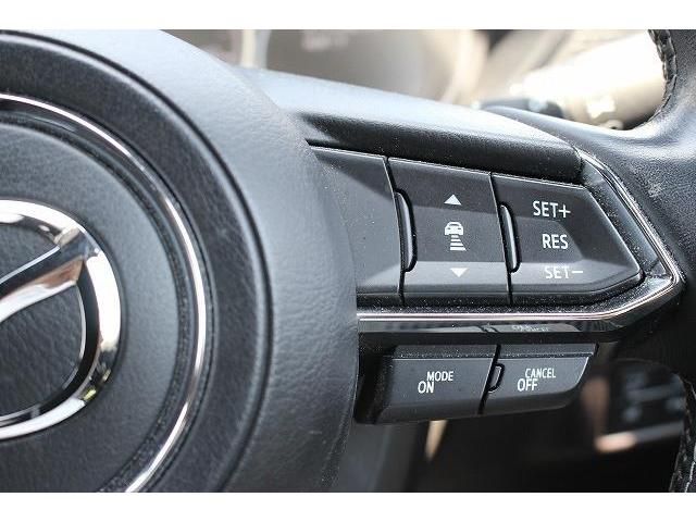 Mazda CX-8 2018-06 7731-4