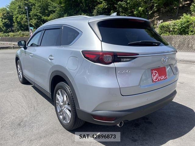 Mazda CX-8 2019-04 266190-6