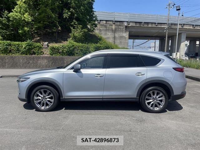 Mazda CX-8 2019-04 266190-7